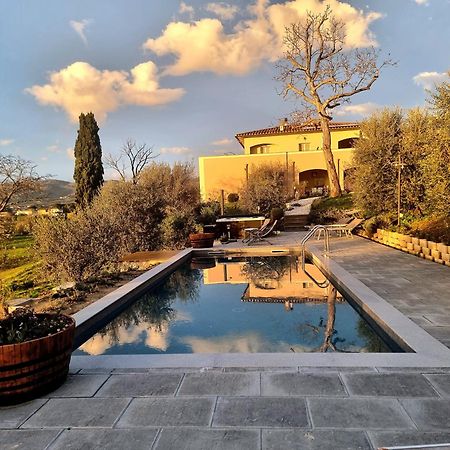 The Olive Grove In Tuscany Toiano Exterior photo
