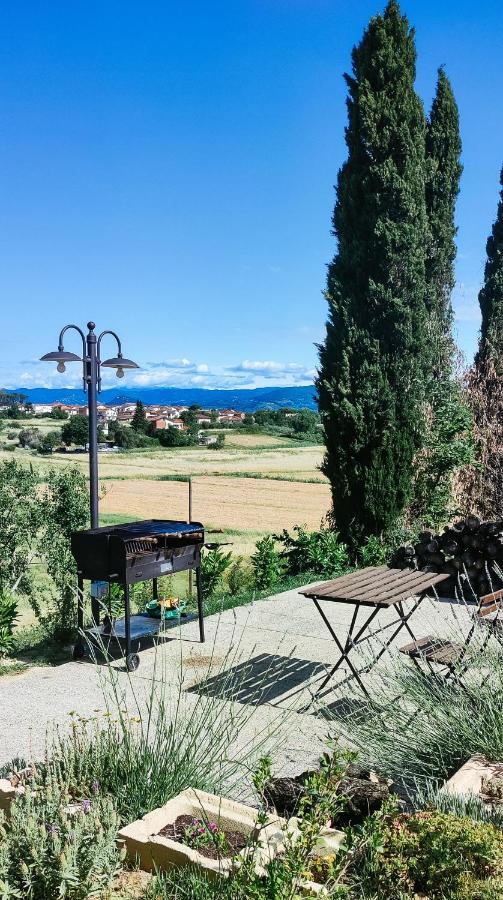 The Olive Grove In Tuscany Toiano Exterior photo